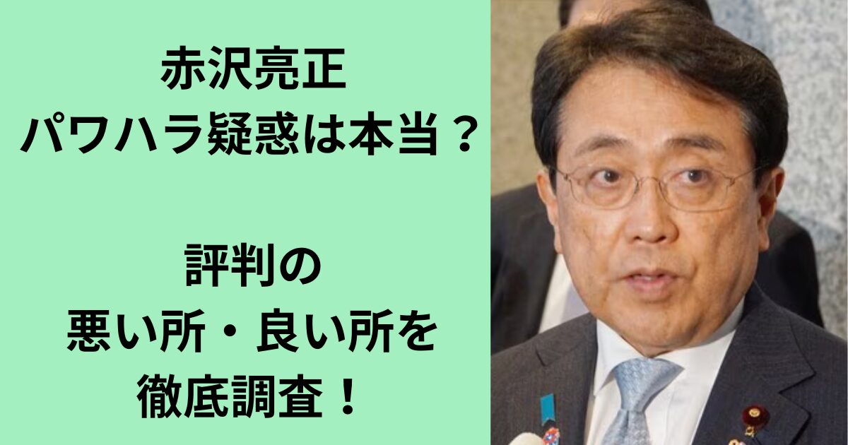 赤沢亮正