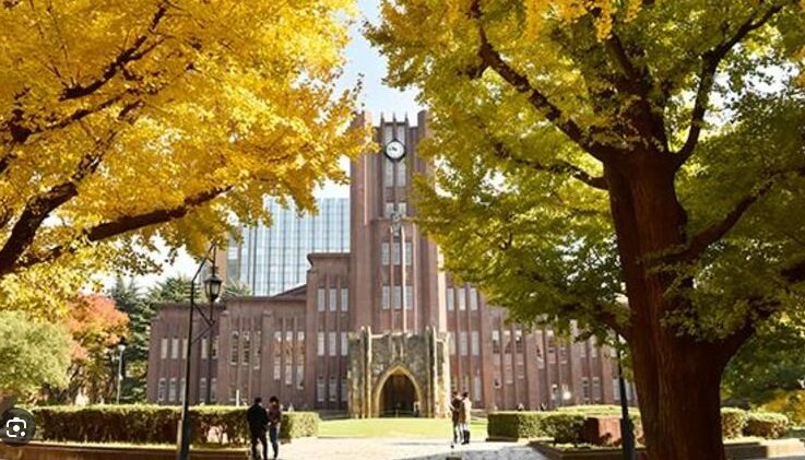東京大学 法学部