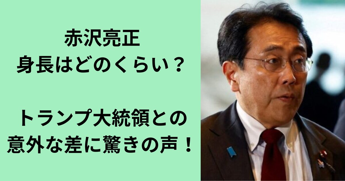赤沢亮正