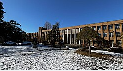 東北大学