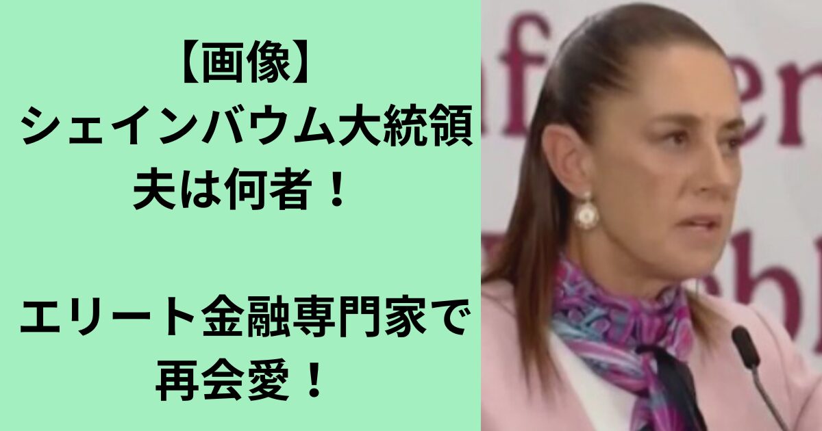 シェインバウム大統領